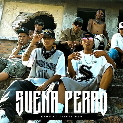 Suena Perro