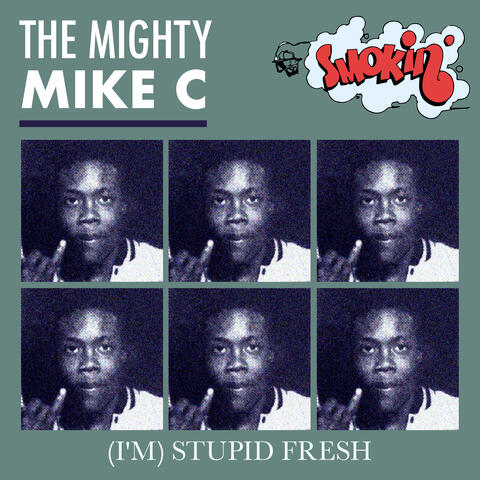(I'm) Stupid Fresh