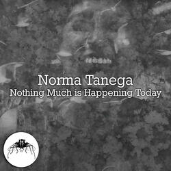 Nothing Much Is Happening Today