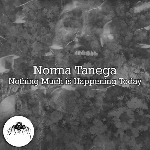 Nothing Much is Happening Today