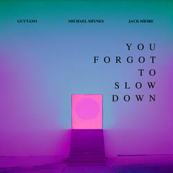 You Forgot To Slow Down