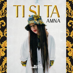Ti Si Ta