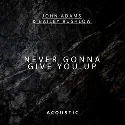 Never Gonna Give You Up