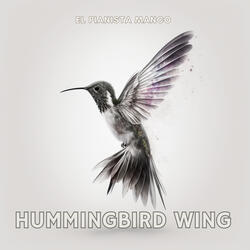 Hummingbird wing