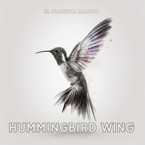 Hummingbird wing