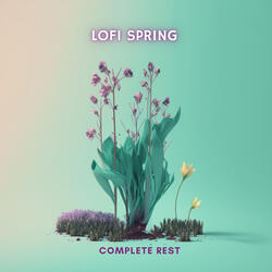 LoFi spring