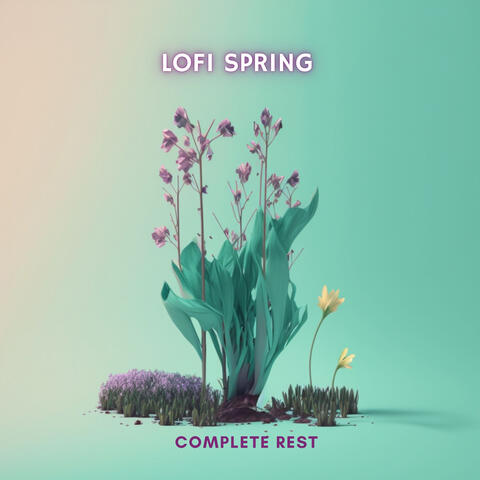 LoFi spring