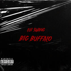 Big Buffalo