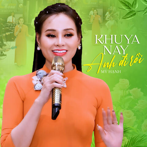 Khuya Nay Anh Đi Rồi