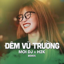 Đêm Vũ Trường (Remix)