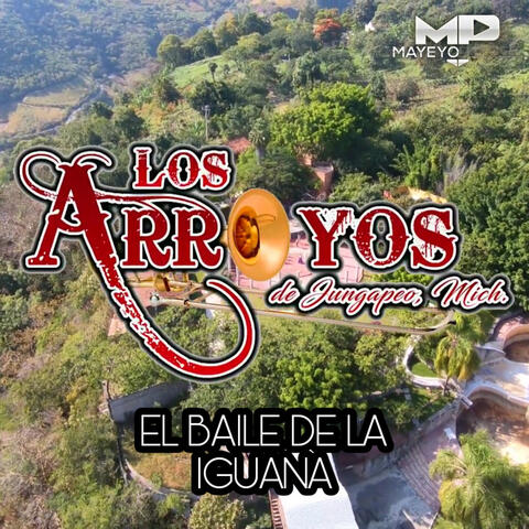 El Baile De La Iguana