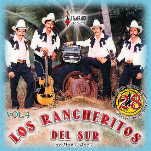28 Exitos, Vol. 4