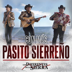 No Bailes De Caballito