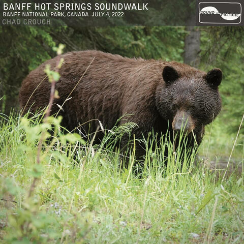 Banff Hot Springs Soundwalk