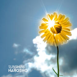 Sunshine