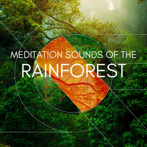 Meditation Sounds of the Rainforest