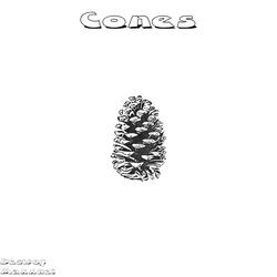 Cones