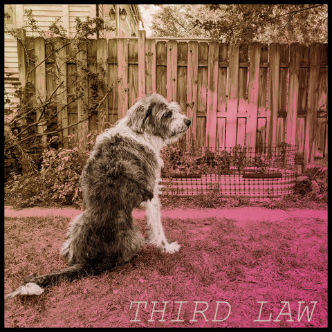 Third Law