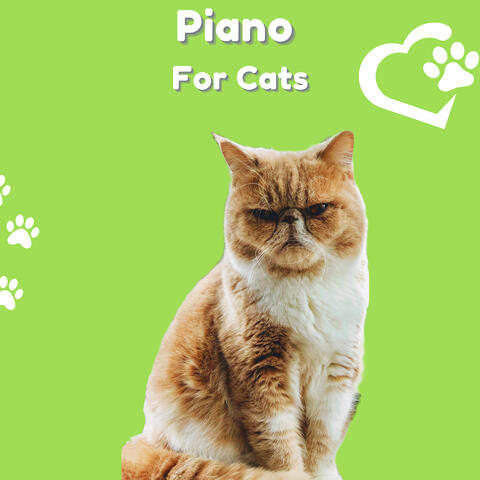 Pet Music Therapy & PETS LOVE MUSIC & Piano Peace