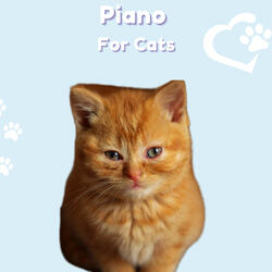 Lovely Piano Cats