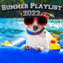 Lofi Chillhop Summer Music