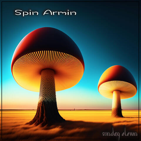 Spin Armin