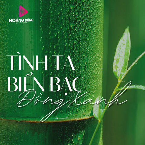 Tình Ta Biển Bạc Rừng Xanh