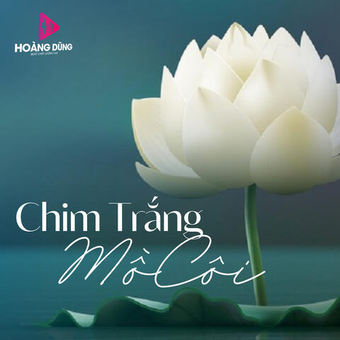 Chim Trắng Mồ Côi