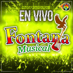 Con La Botella En La Cabeza / Flor de Piña / El Torito / Sones (En Vivo)
