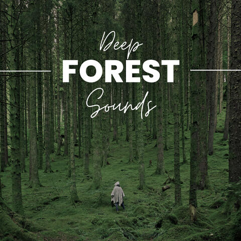 Deep Forest Sounds