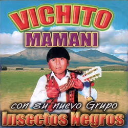 No Bebas Papá