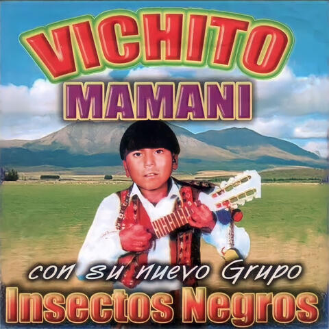 No Bebas Papá