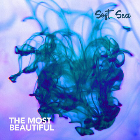 The Most Beautiful
