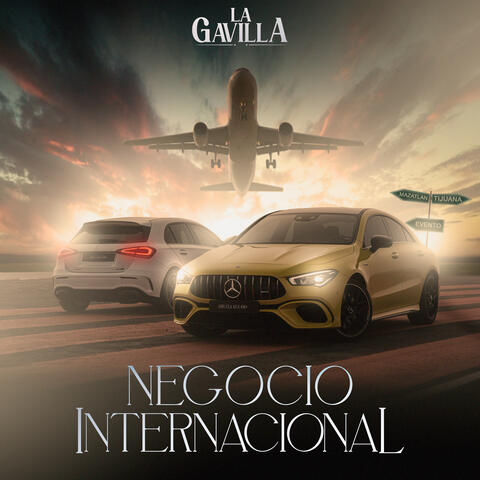 Negocio Internacional