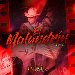 El Malandrín (En Vivo) - Single