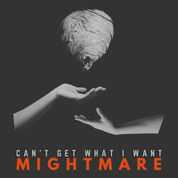 Can't Get What I Want