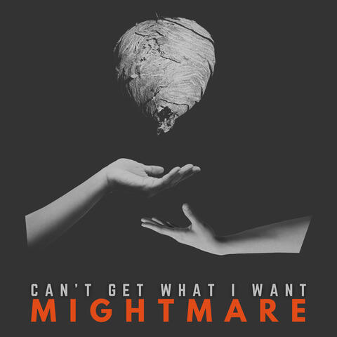 Can't Get What I Want