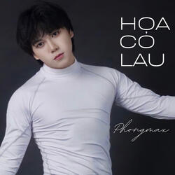 Hoa Cỏ Lau