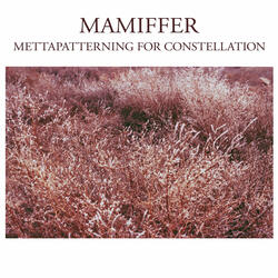 Mettapatterning for Constellation