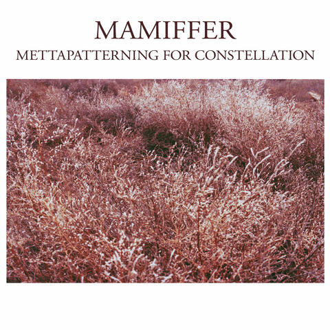 Mettapatterning For Constellation