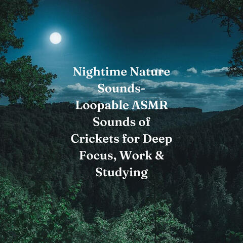 Nightime Nature Sounds- Loopable ASMR Sounds of Crickets for Deep Focus, Work & Studying