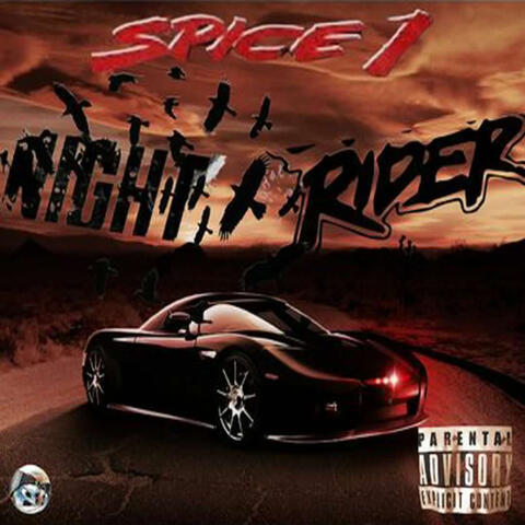 Night  Rider