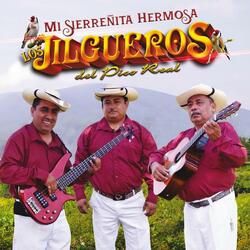 Te Lo Puedo Jurar