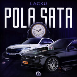 Pola sata