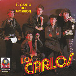 Dos Tontos