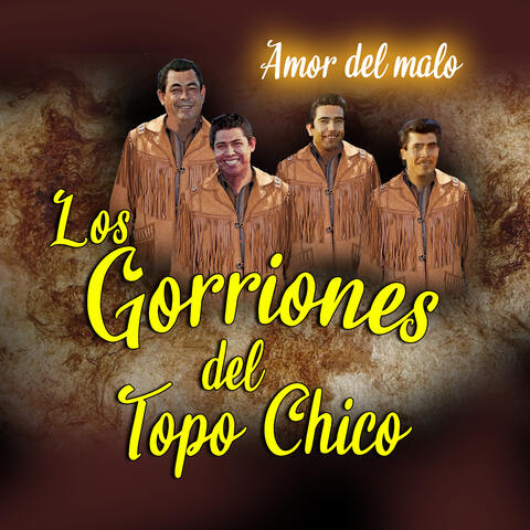 Amor Del Malo