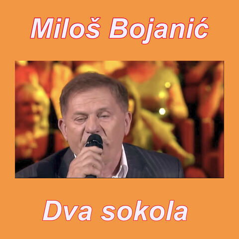Dva sokola