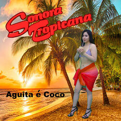 Agüita e Coco