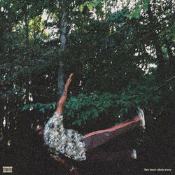 fish don't climb trees