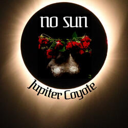 No Sun